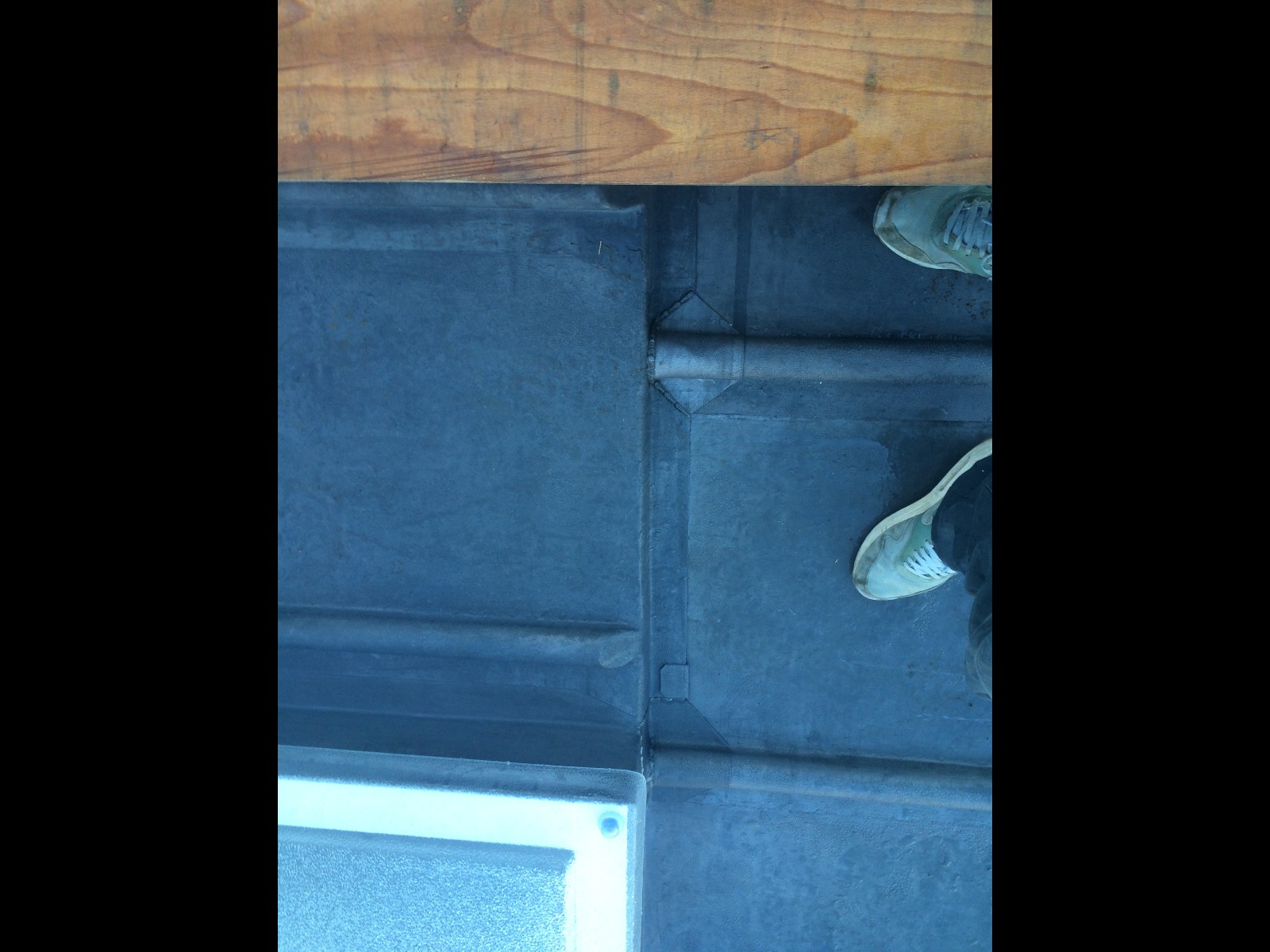 EWN Lead Specialists Ltd.