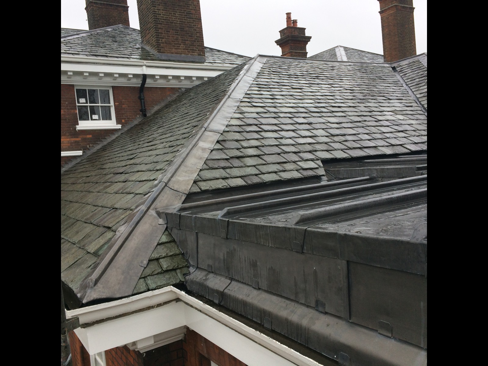 EWN Lead Specialists Ltd.