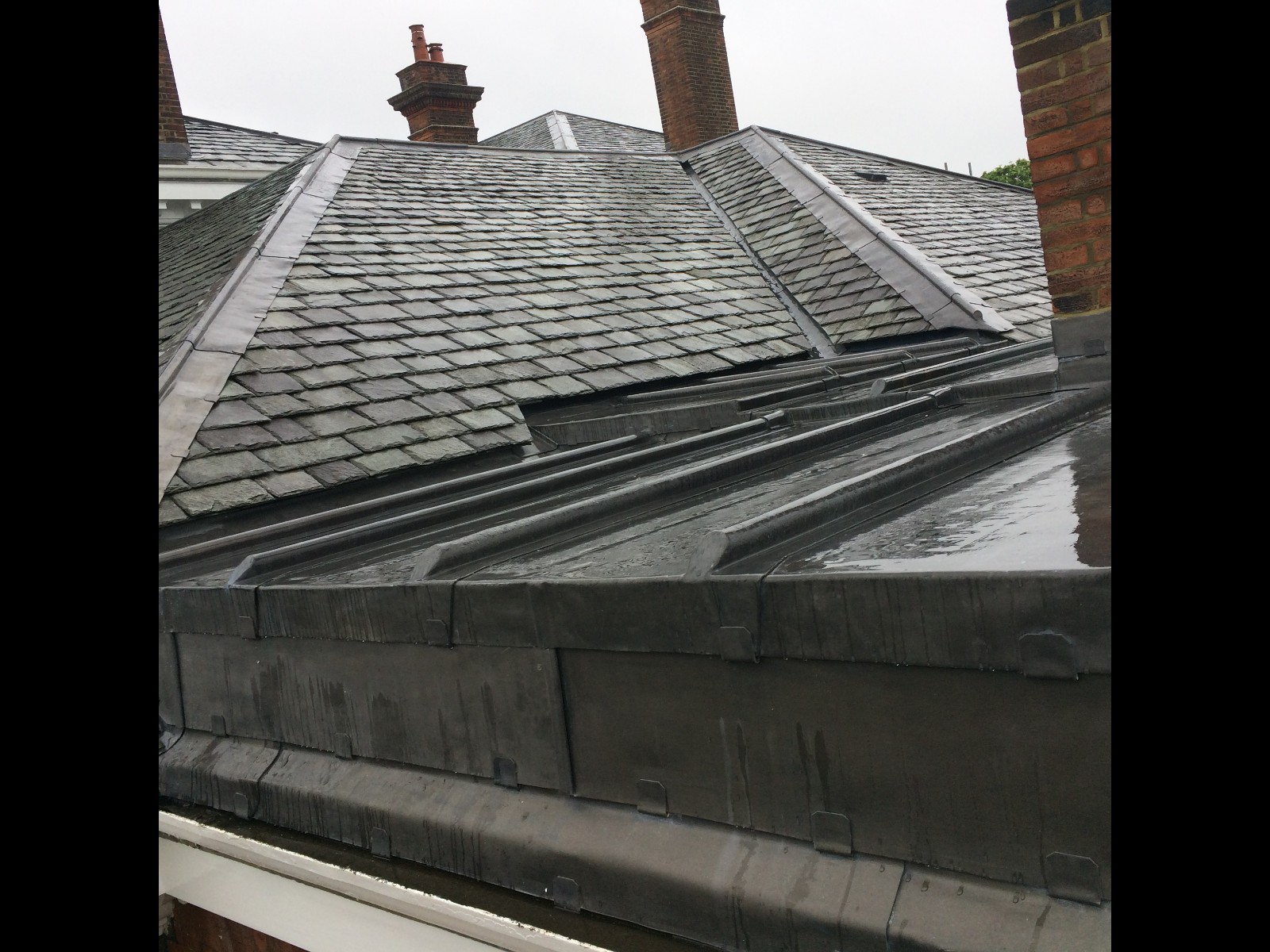 EWN Lead Specialists Ltd.