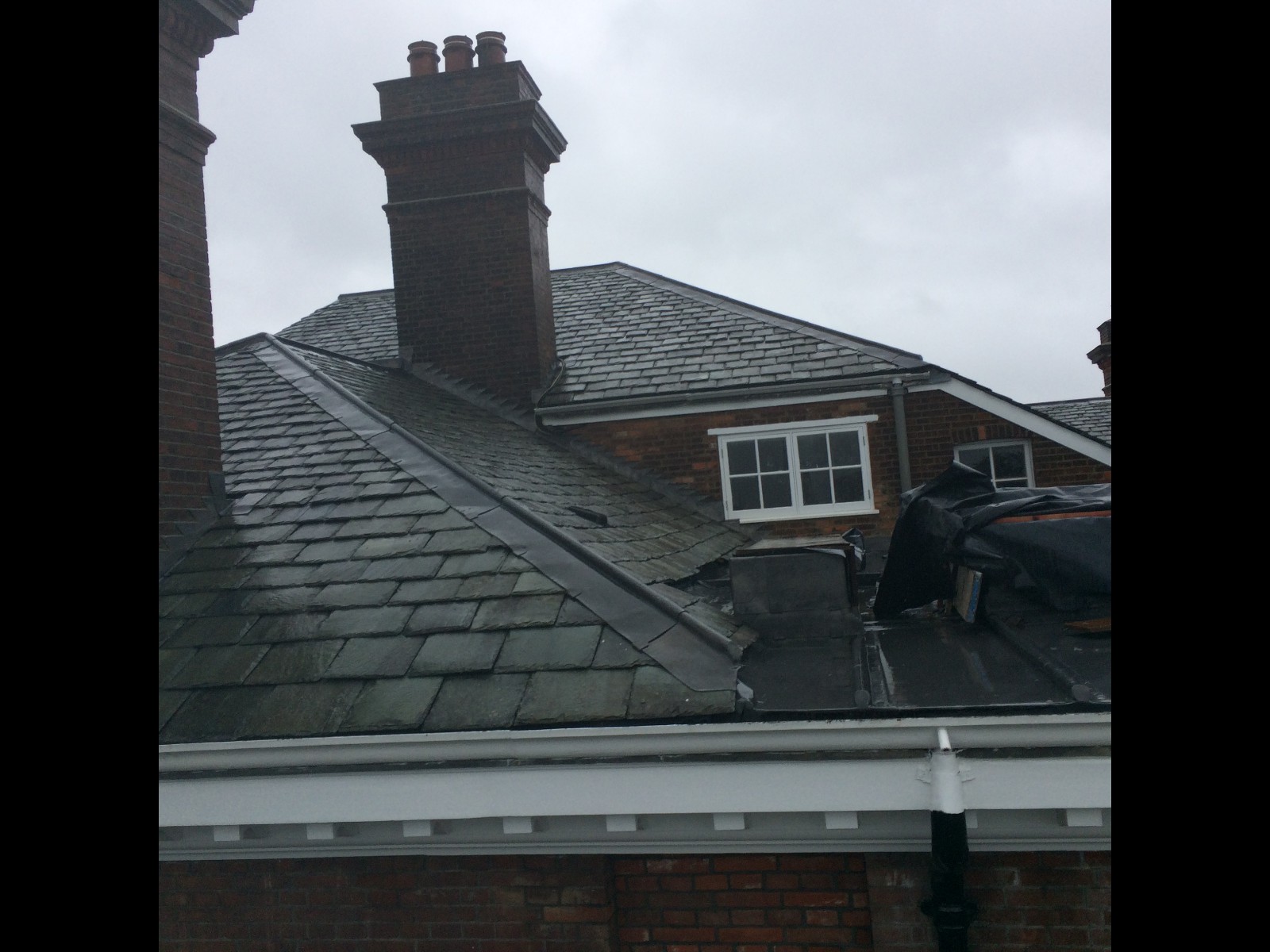 EWN Lead Specialists Ltd.