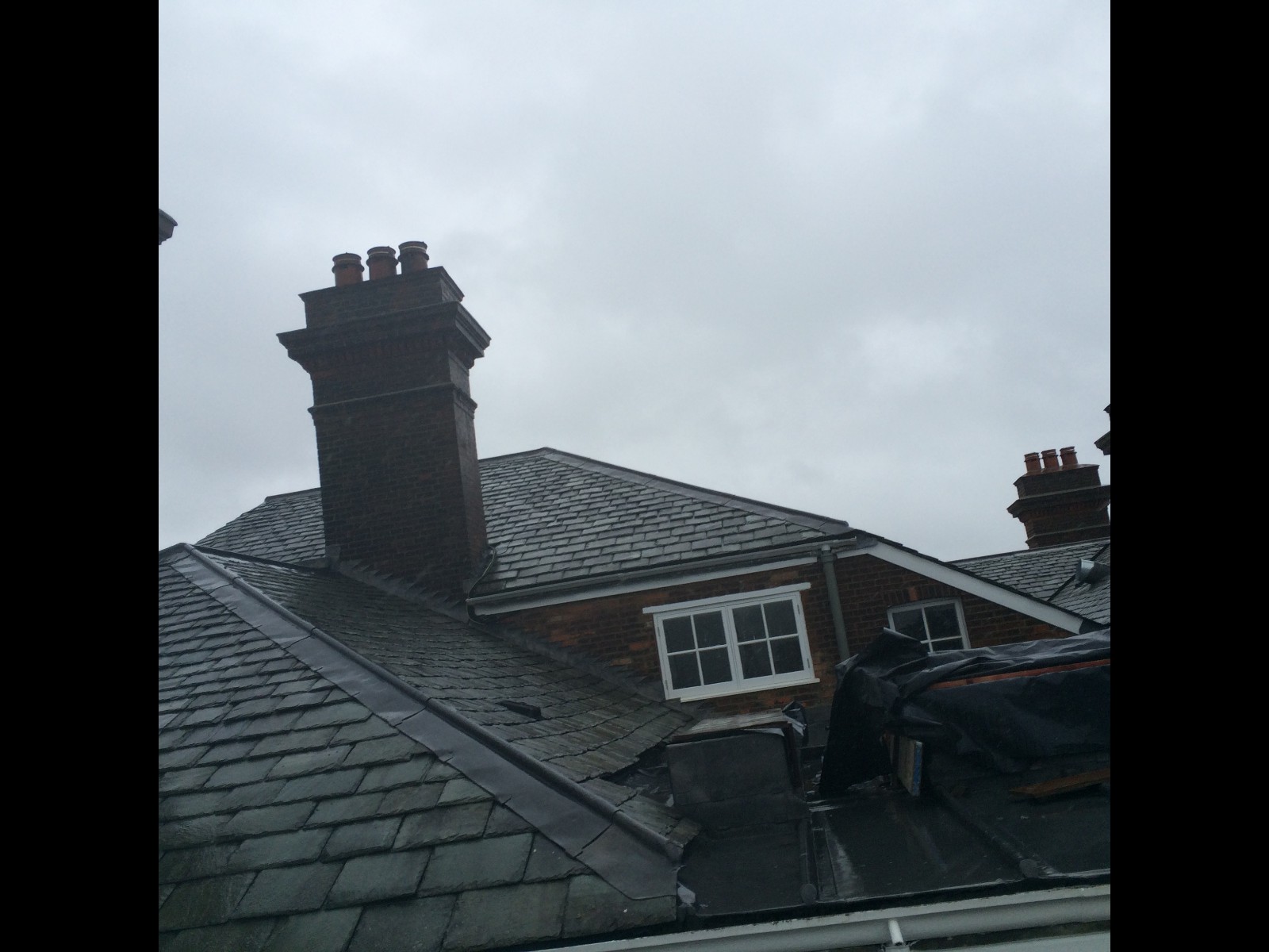 EWN Lead Specialists Ltd.