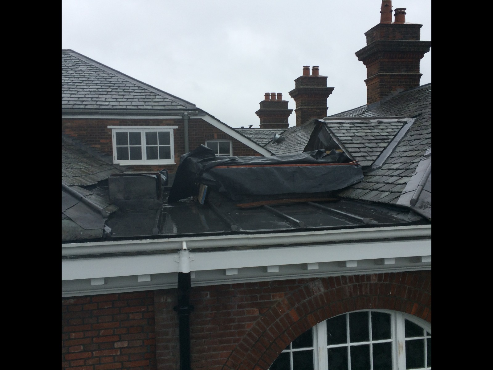 EWN Lead Specialists Ltd.