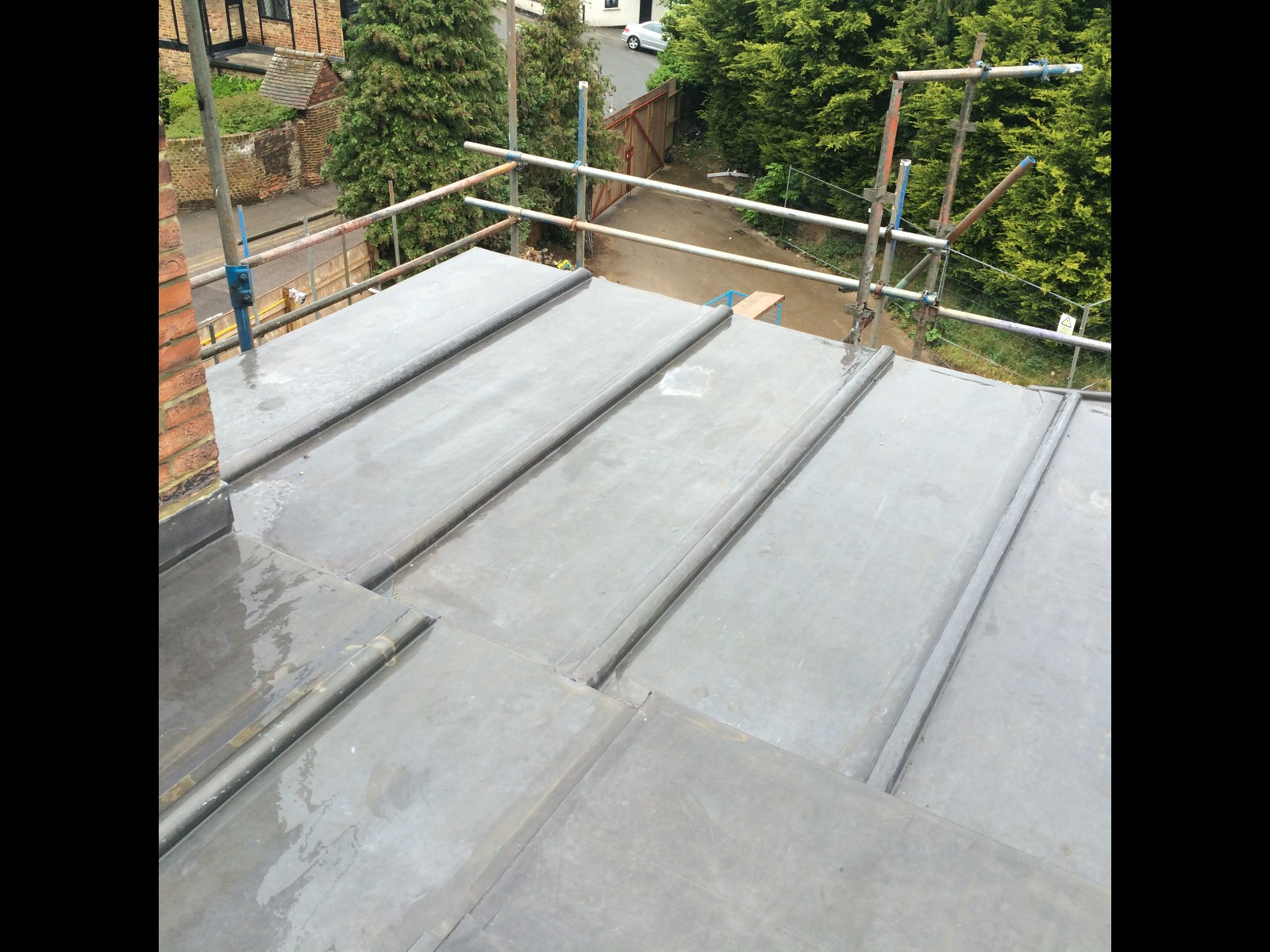 EWN Lead Specialists Ltd.