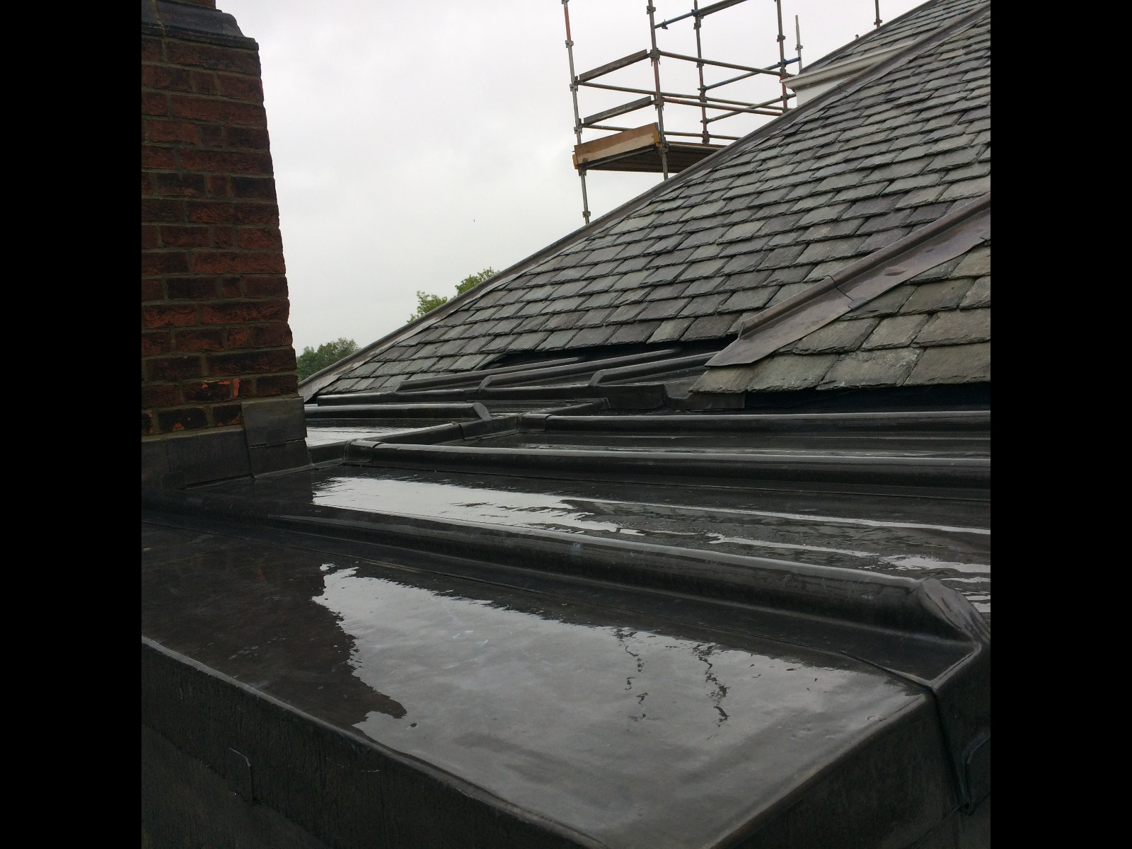 EWN Lead Specialists Ltd.