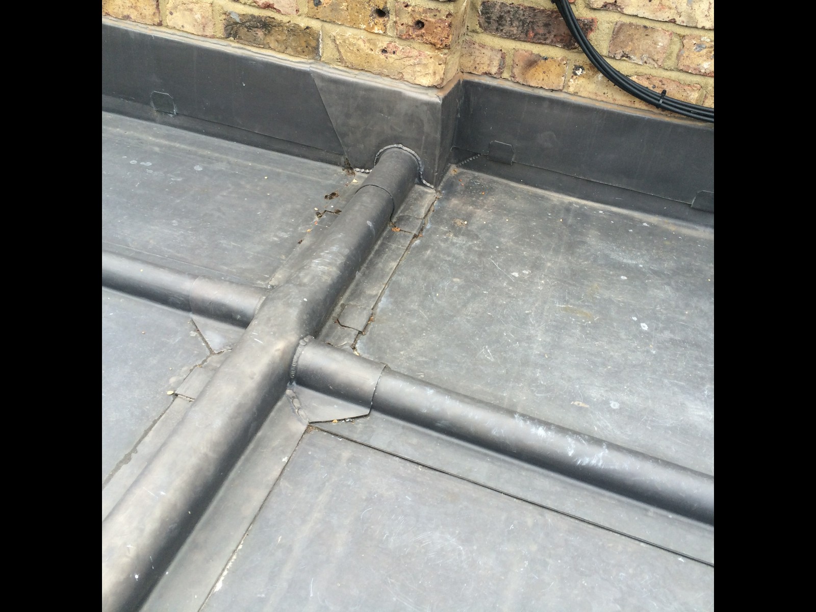 EWN Lead Specialists Ltd.