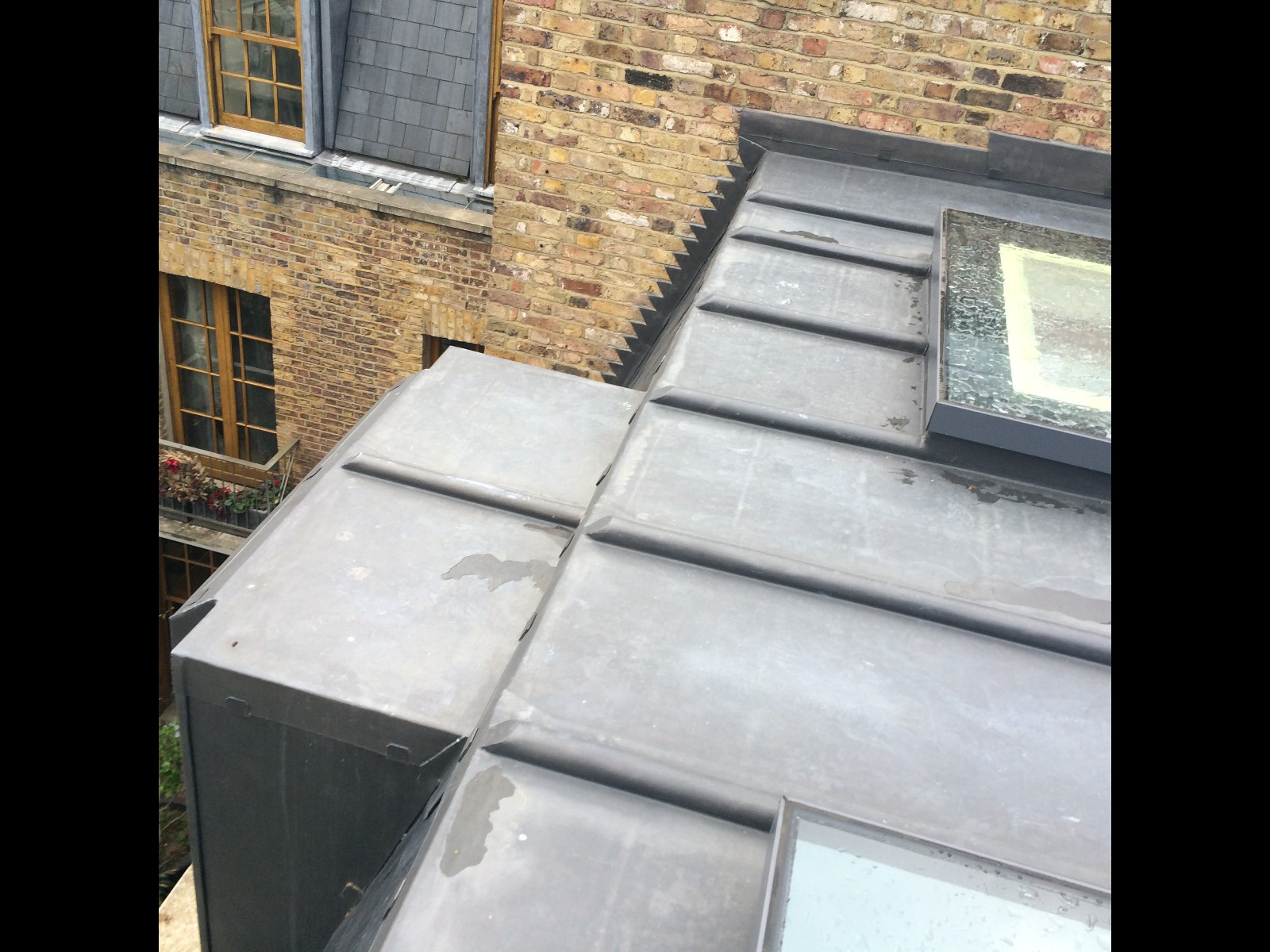 EWN Lead Specialists Ltd.