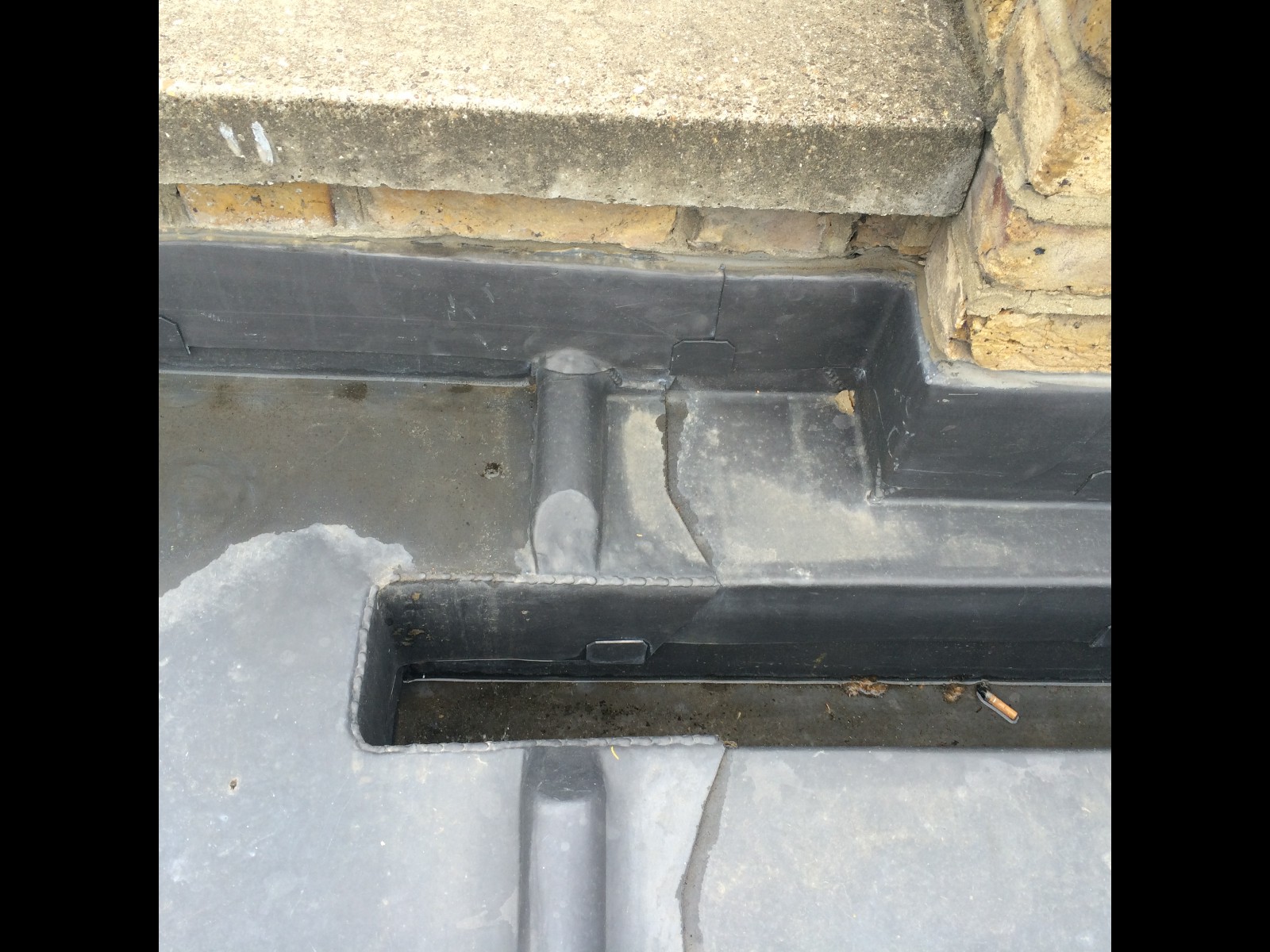 EWN Lead Specialists Ltd.