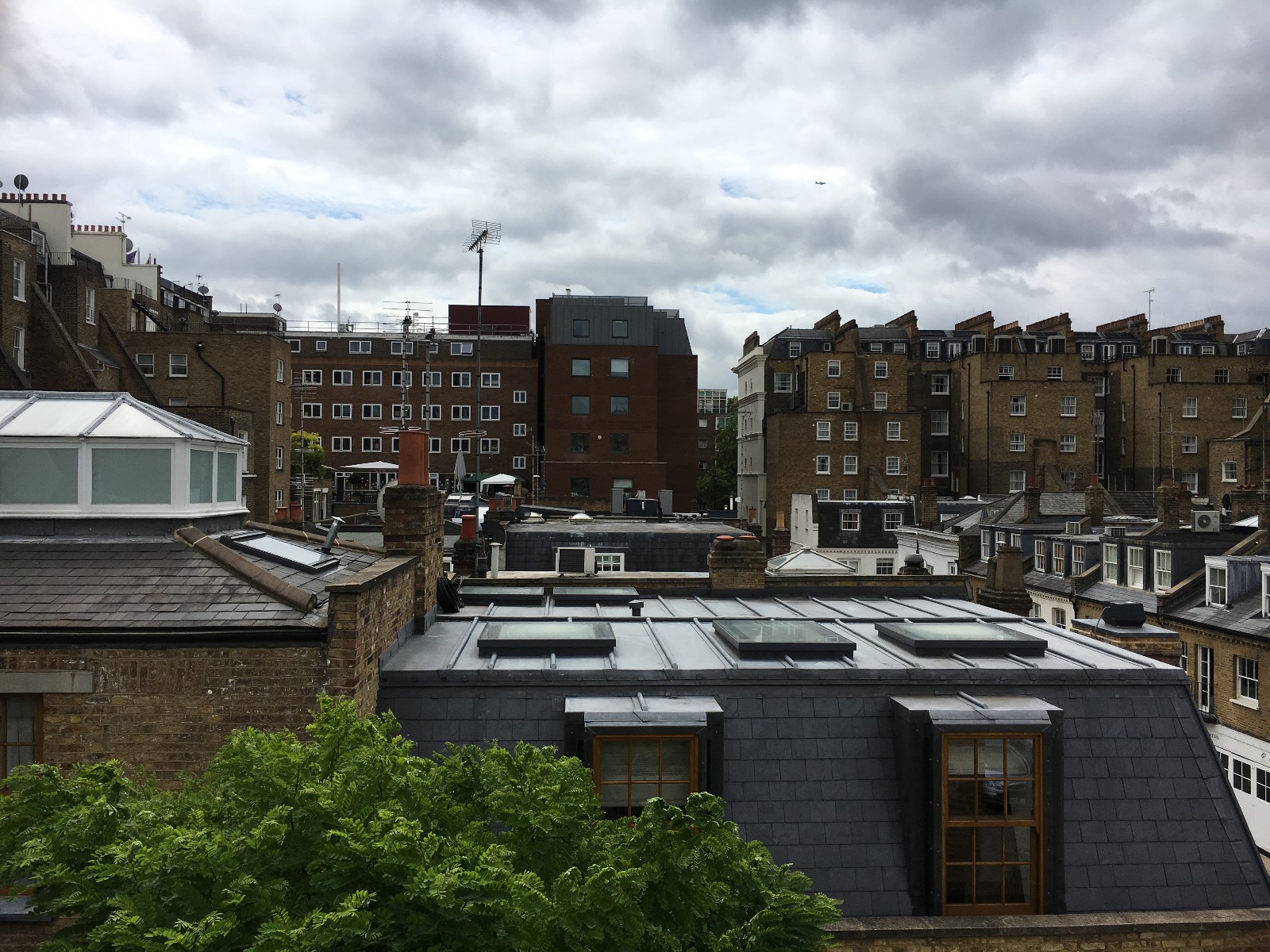 EWN Lead Specialists Ltd.