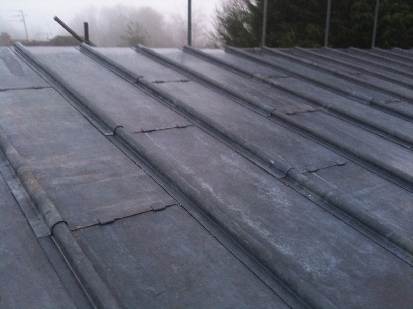 EWN Lead Specialists Ltd.