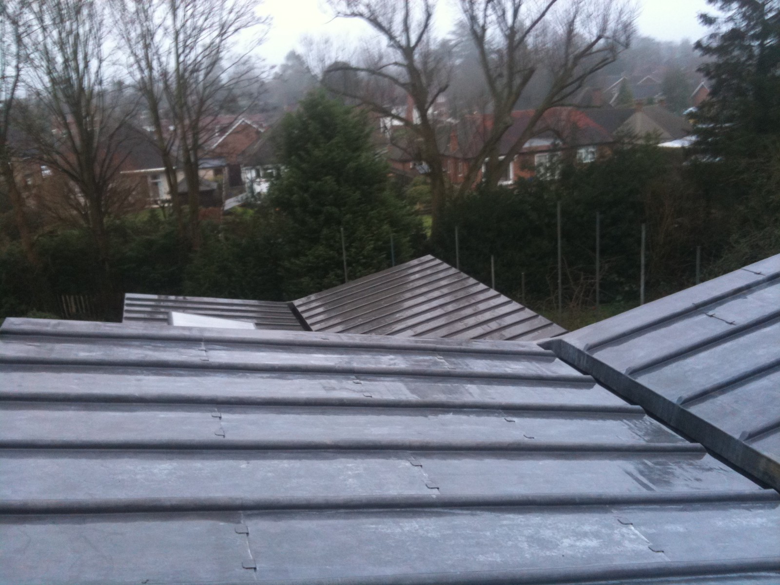 EWN Lead Specialists Ltd.