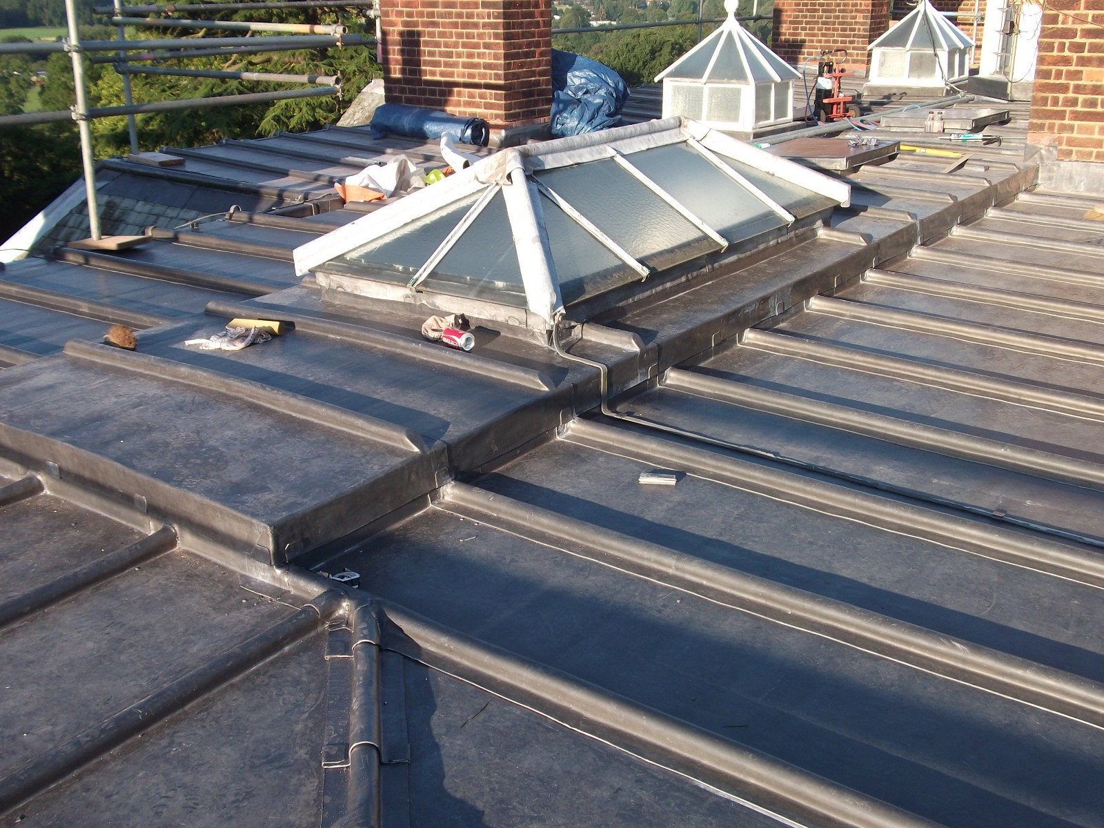 EWN Lead Specialists Ltd.