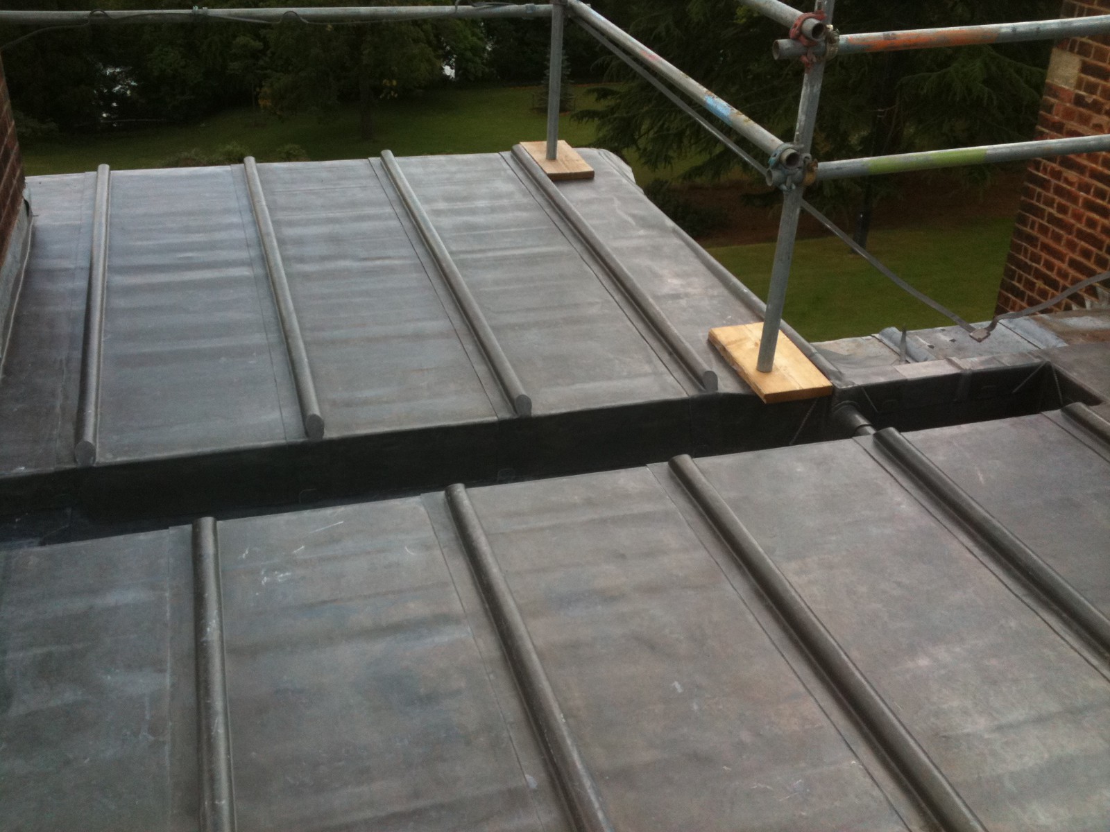 EWN Lead Specialists Ltd.