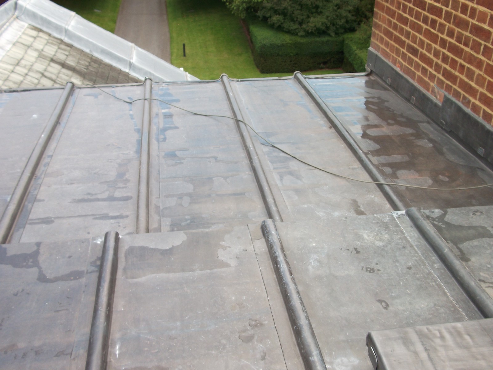 EWN Lead Specialists Ltd.