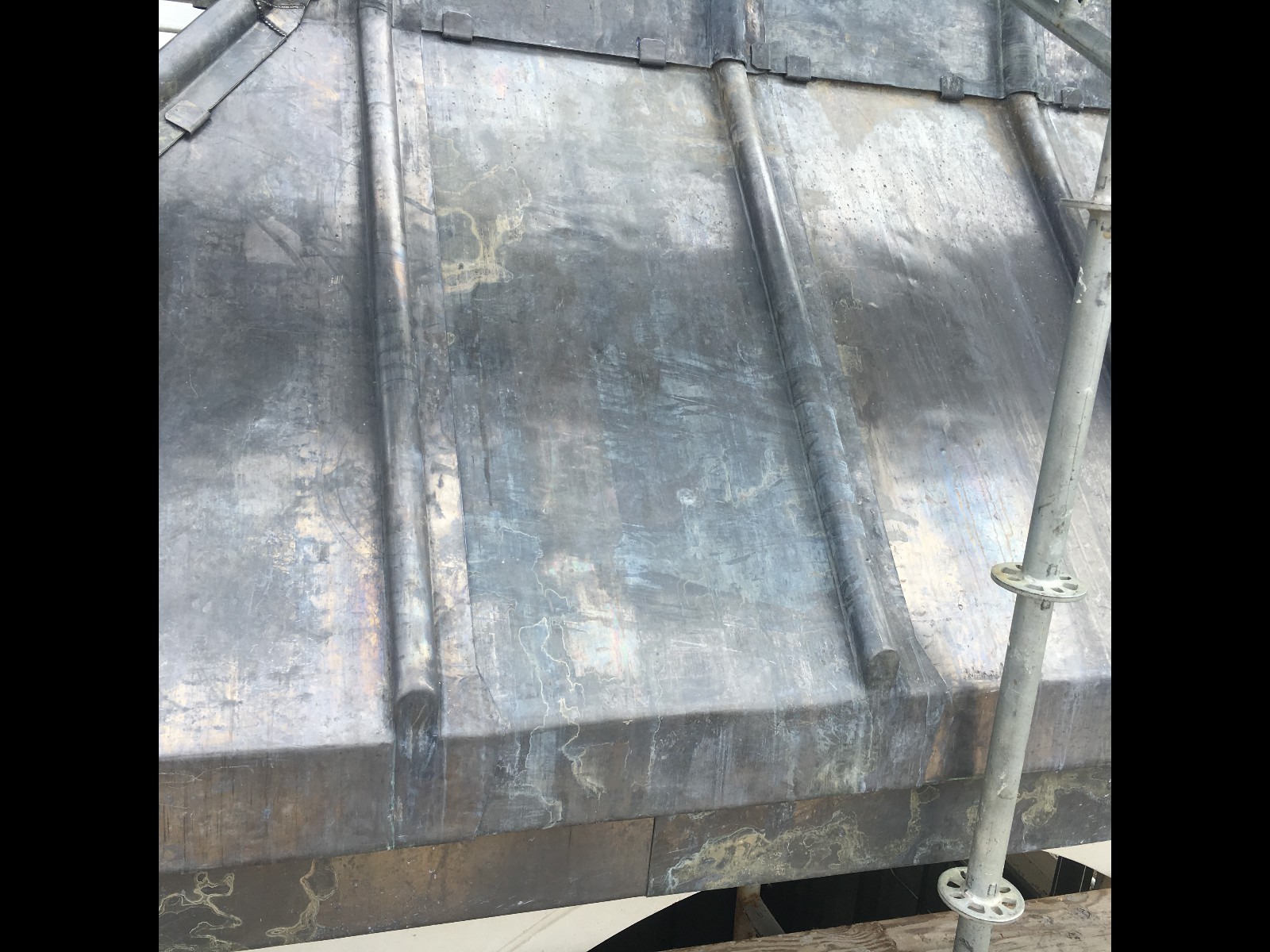 EWN Lead Specialists Ltd. EWN Lead Specialists Ltd.