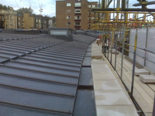 EWN Lead Specialists Ltd. EWN Lead Specialists Ltd.