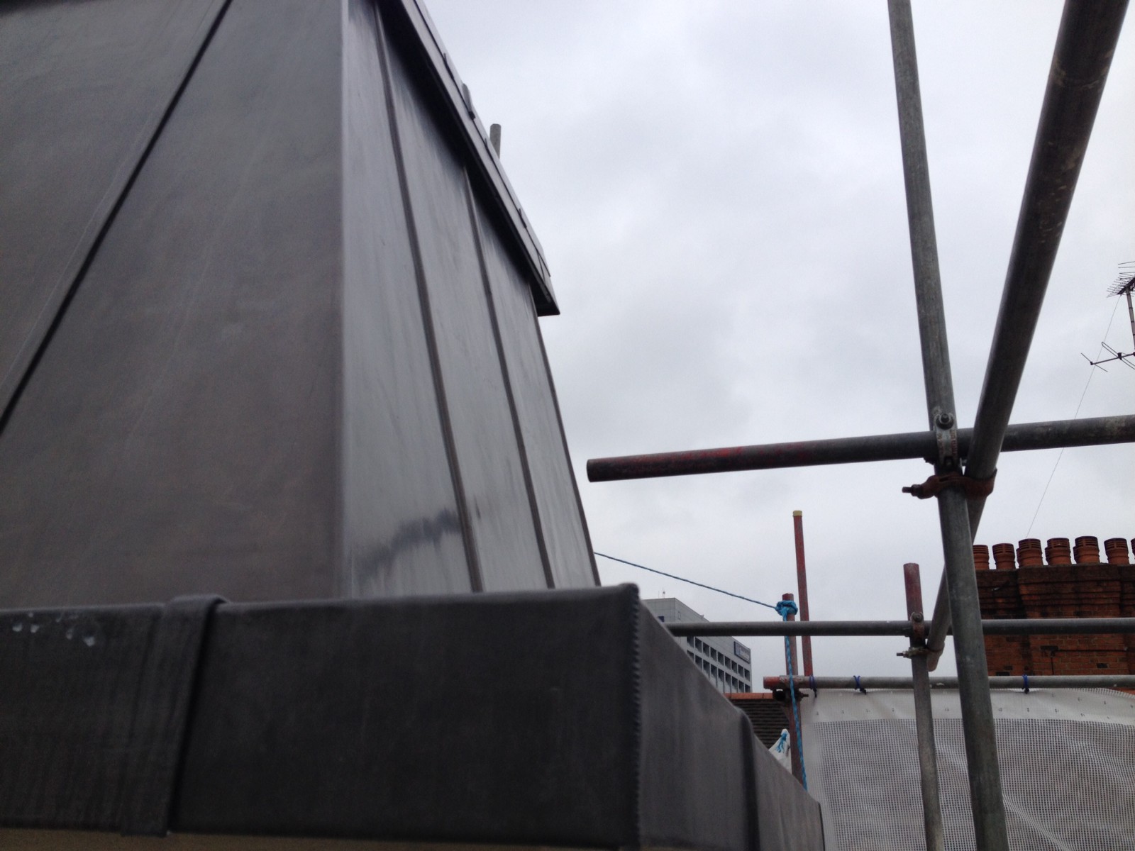 EWN Lead Specialists Ltd.