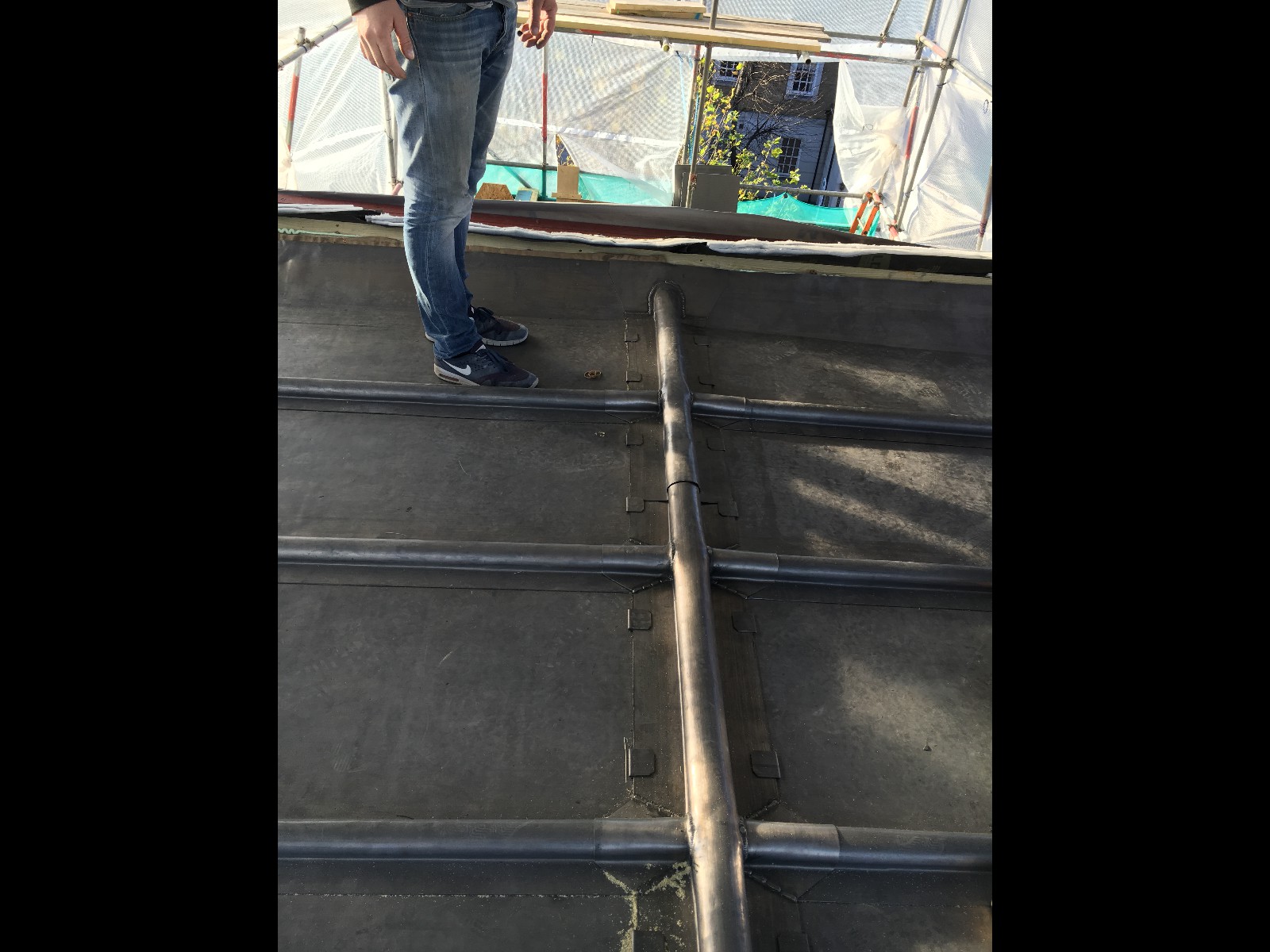 EWN Lead Specialists Ltd.