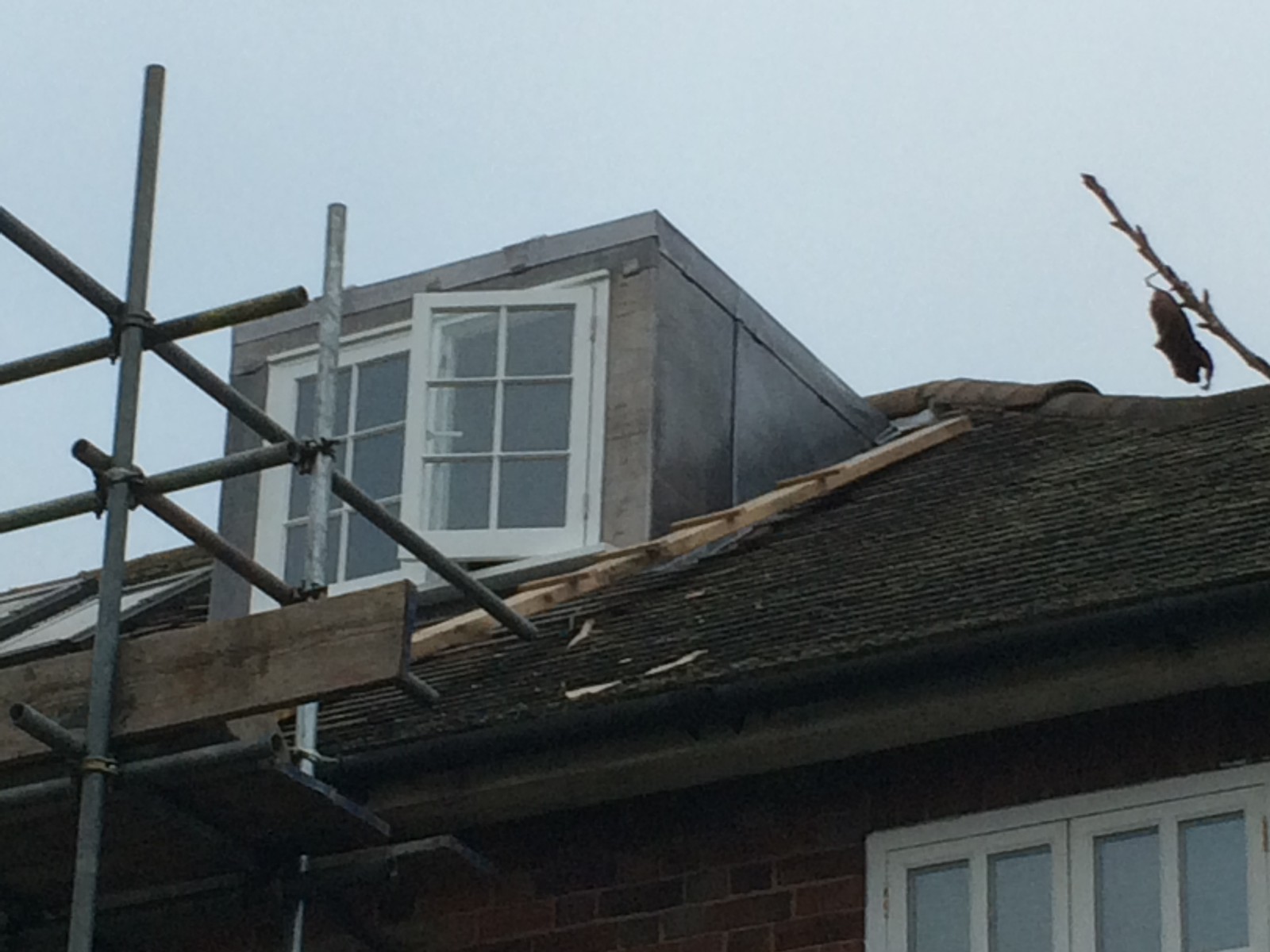 EWN Lead Specialists Ltd.