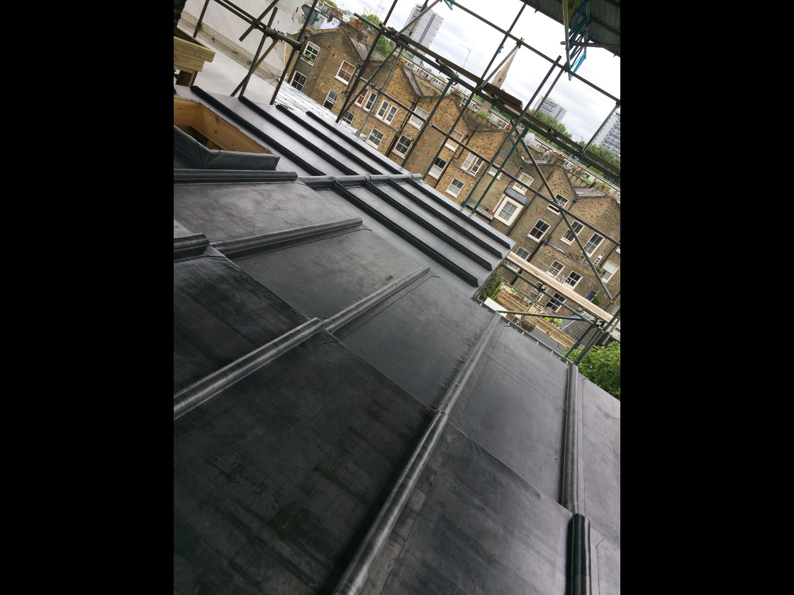 EWN Lead Specialists Ltd.