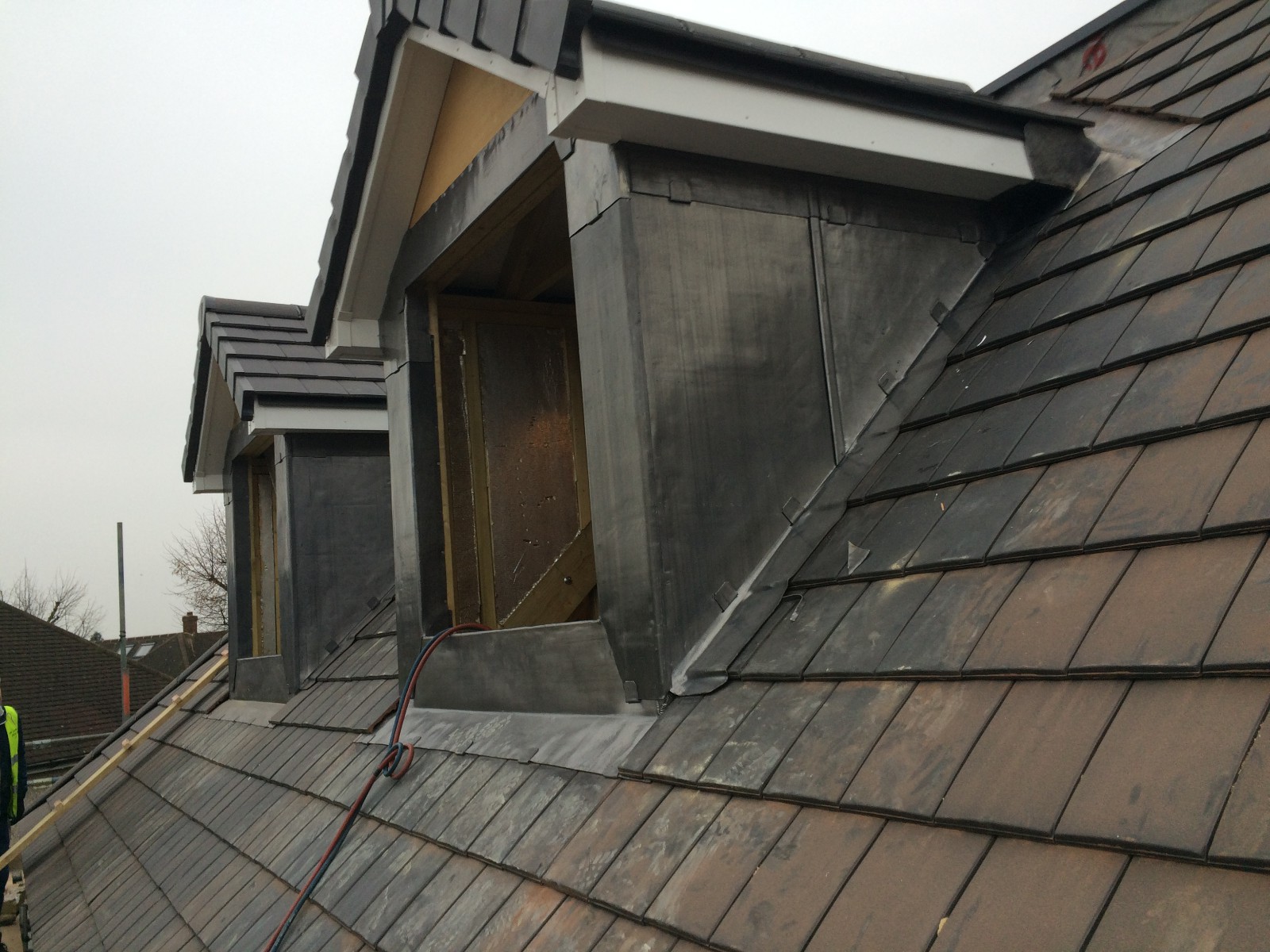 EWN Lead Specialists Ltd.