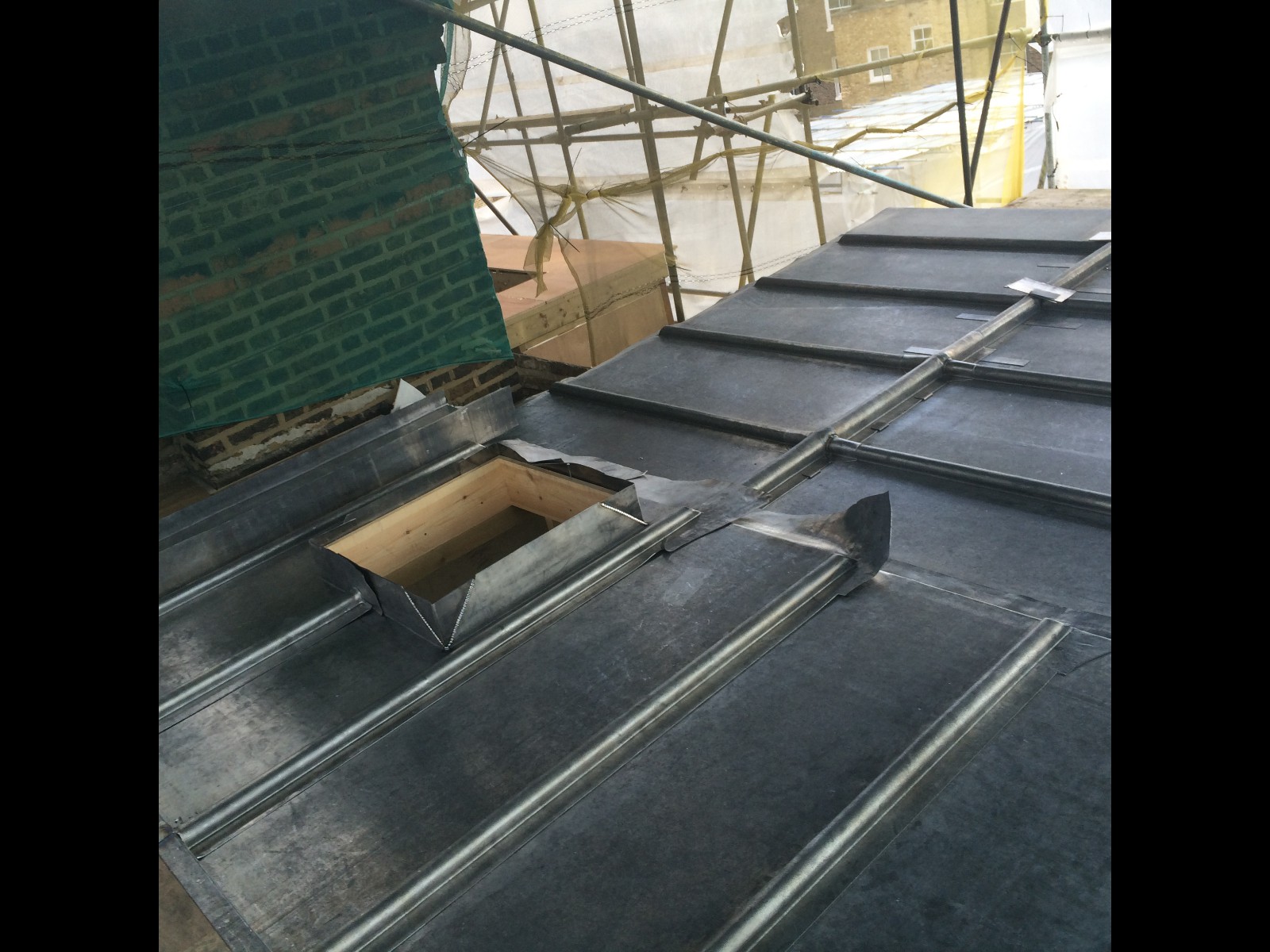 EWN Lead Specialists Ltd.