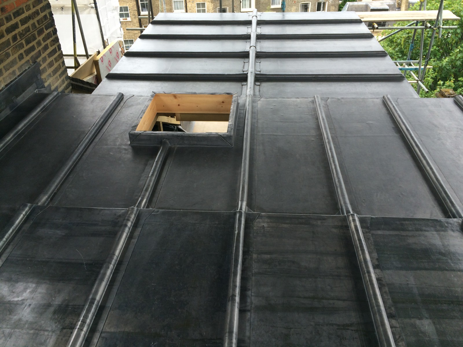 EWN Lead Specialists Ltd.