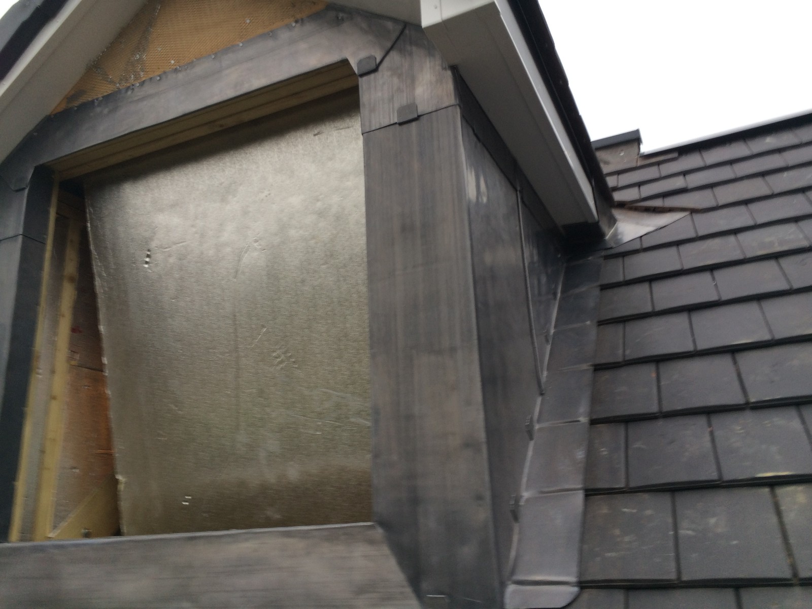 EWN Lead Specialists Ltd.