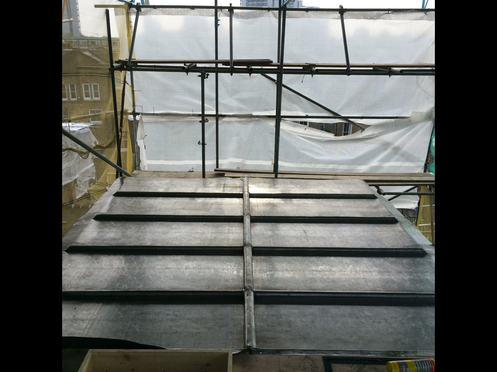 EWN Lead Specialists Ltd.