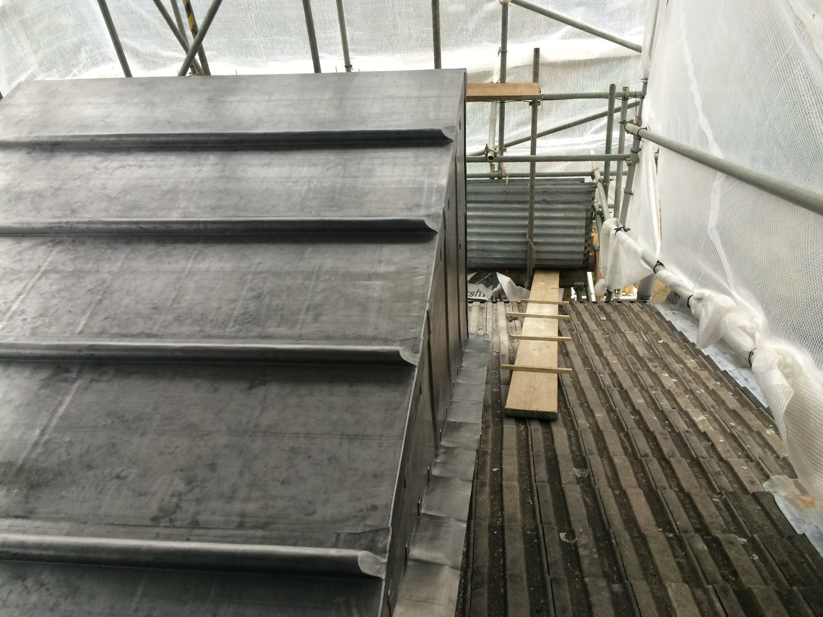 EWN Lead Specialists Ltd.