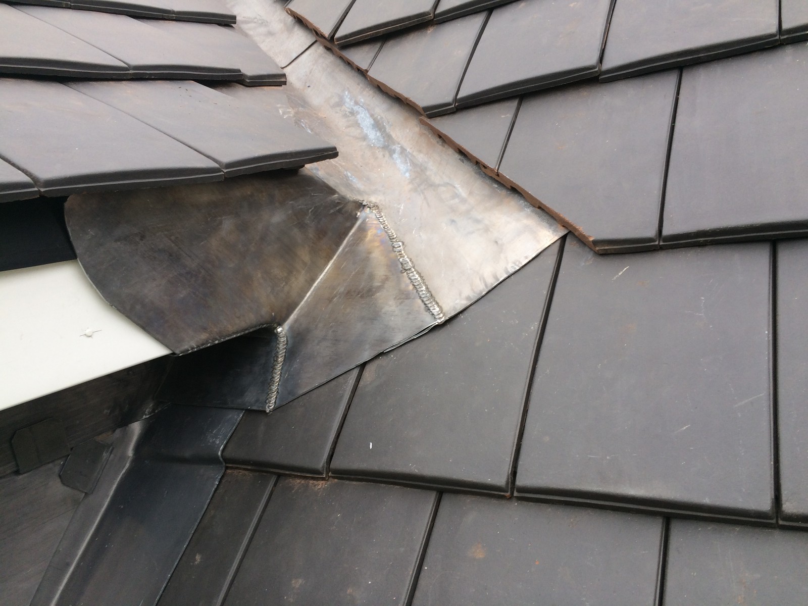 EWN Lead Specialists Ltd.