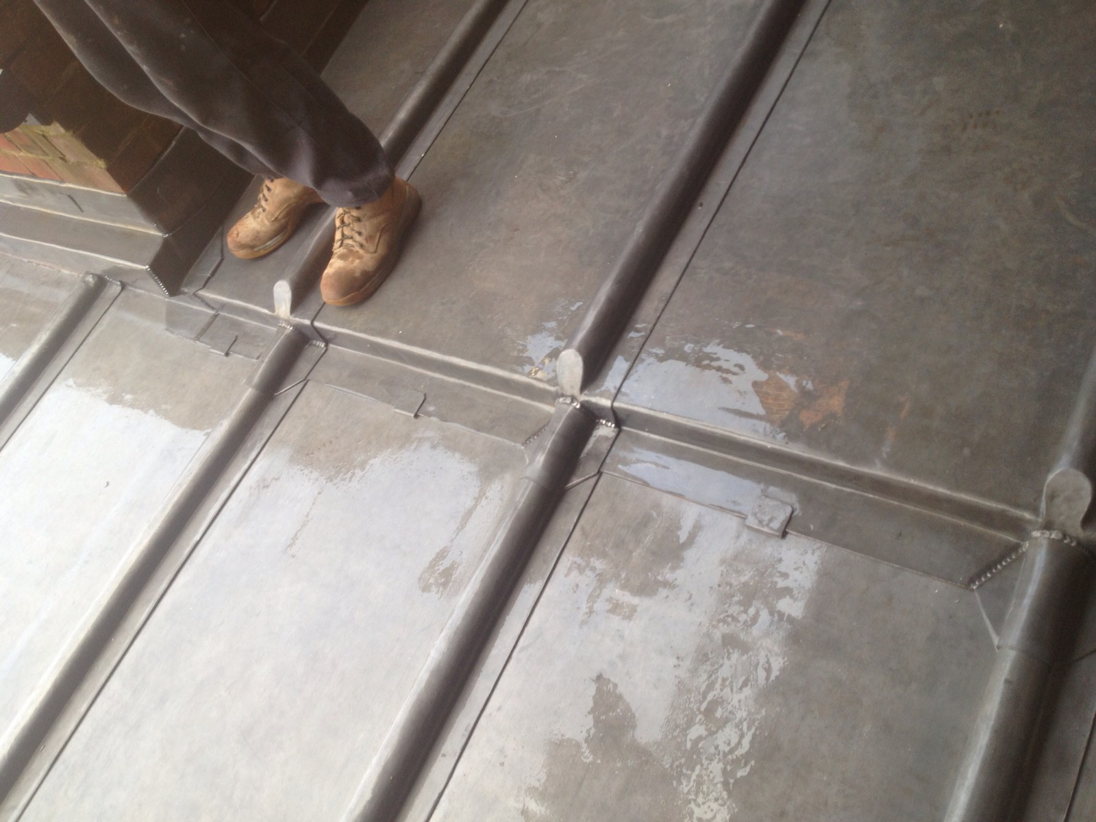 EWN Lead Specialists Ltd. EWN Lead Specialists Ltd.