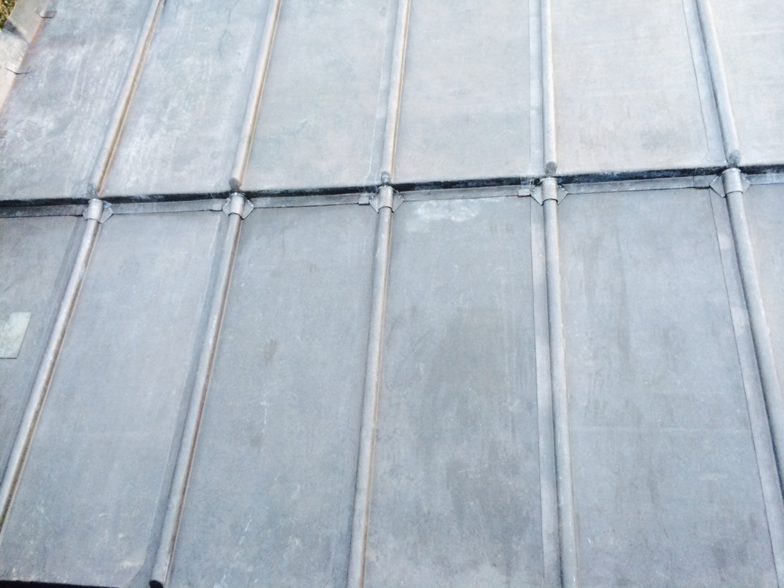 EWN Lead Specialists Ltd.