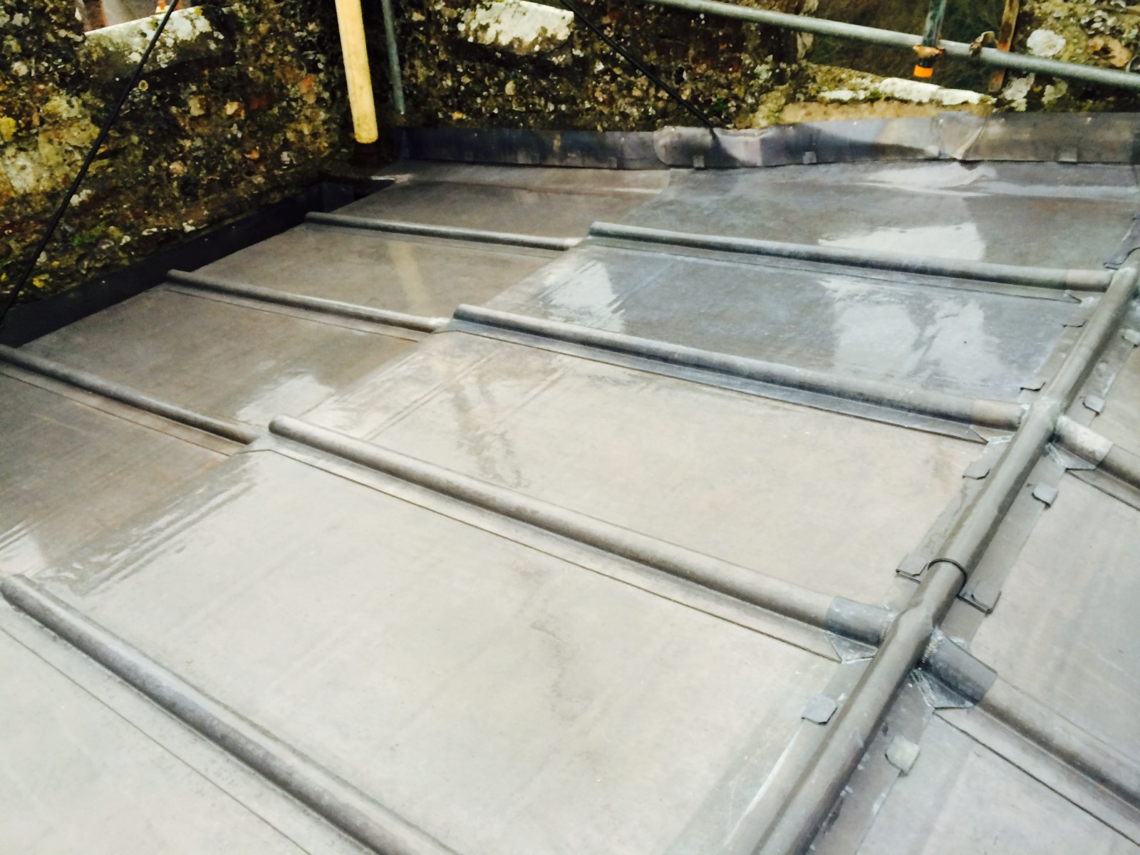 EWN Lead Specialists Ltd.