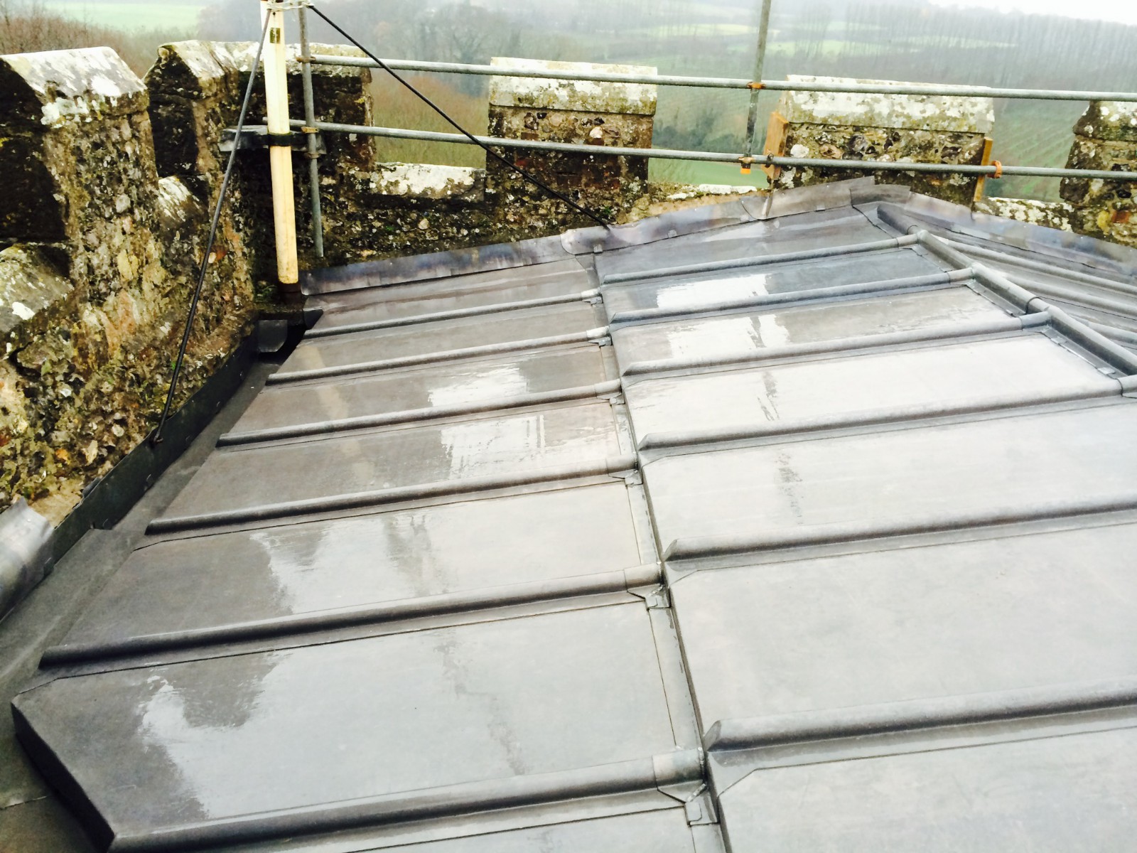 EWN Lead Specialists Ltd.