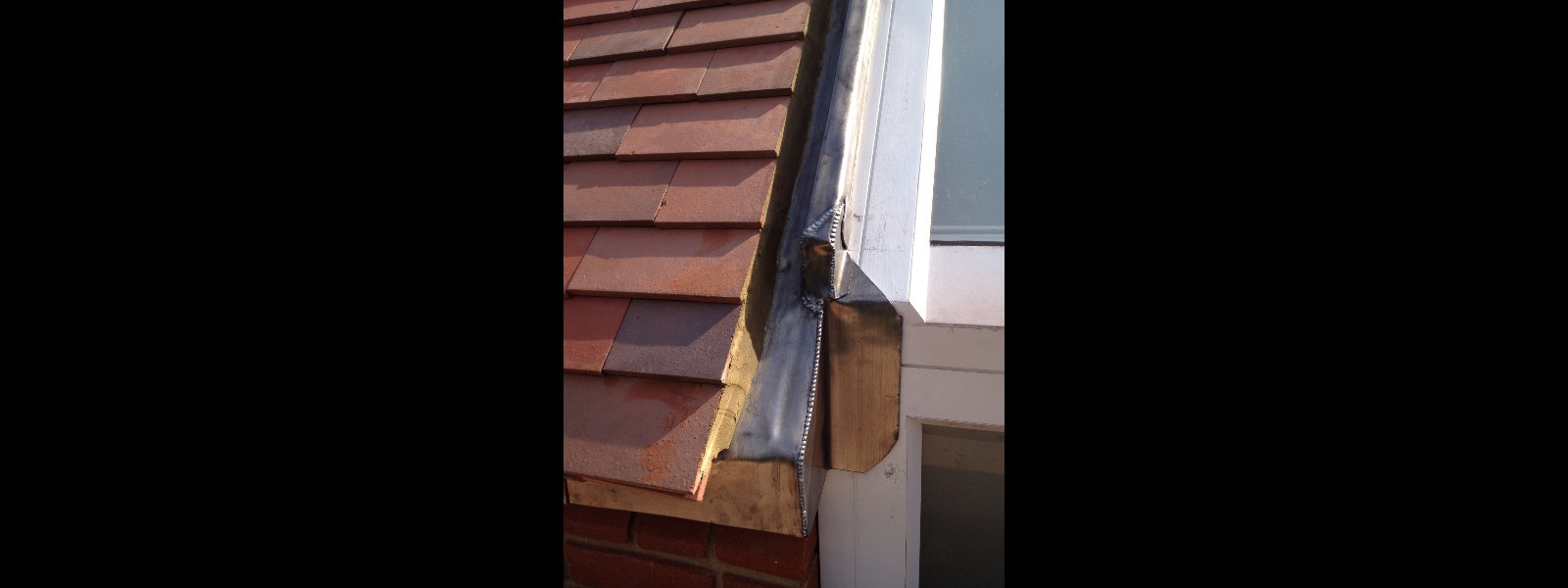 EWN Lead Specialists Ltd.