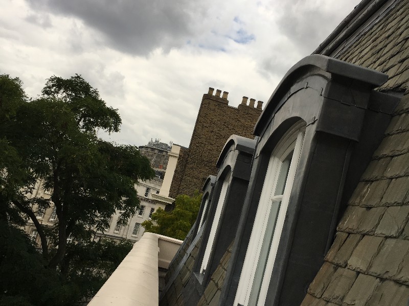 EWN Lead Specialists Ltd.