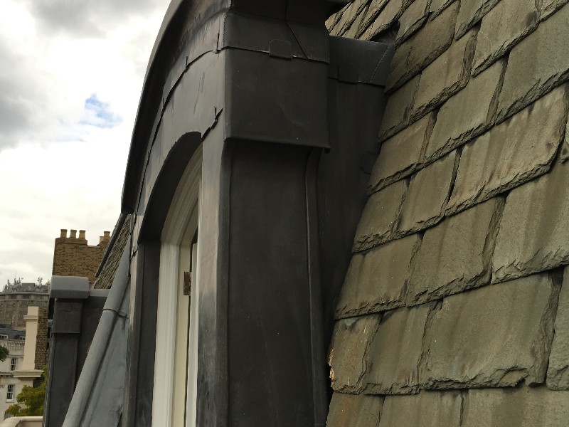 EWN Lead Specialists Ltd.